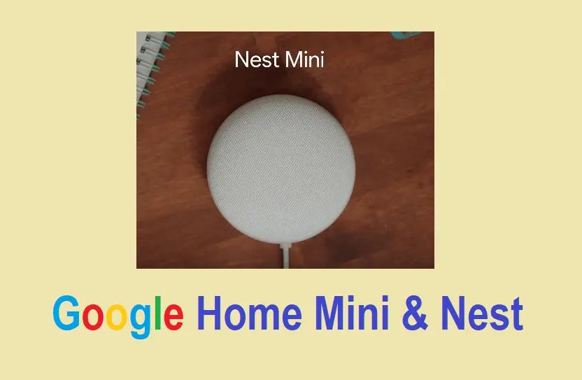 google home mini nest