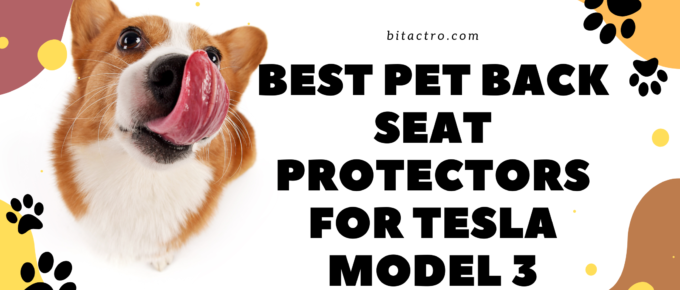 Best pet back seat protectors for Tesla Model 3